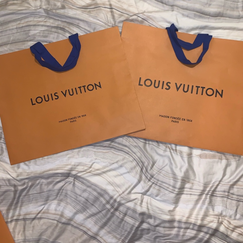Louis Vuitton Gift Bag 2